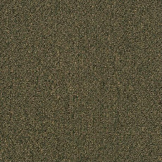 Shaw Momentum 02304 фото 1 | FLOORDEALER