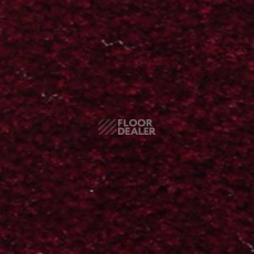 Ковролин Serene Beaulieu of America 26 фото 1 | FLOORDEALER