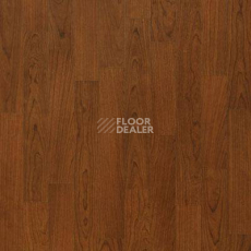 Линолеум Lg Naturelife NLE 5306 фото 1 | FLOORDEALER