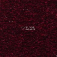 Ковролин Serene Beaulieu of America 26 фото 1 | FLOORDEALER