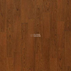 Lg Naturelife NLE 5306 фото 1 | FLOORDEALER
