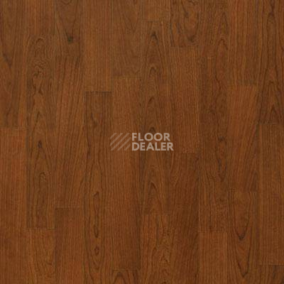 Линолеум Lg Naturelife NLE 5306 фото 1 | FLOORDEALER