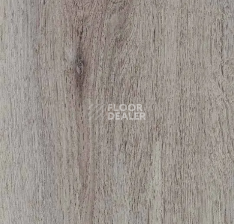 Кварцвиниловые полы Forbo allura decibel 0.8 wood 5101AD8 winter harvest oak (100x16.6 cm) фото 1 | FLOORDEALER