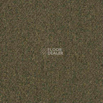 Ковровая плитка Shaw Momentum 02304 фото 1 | FLOORDEALER