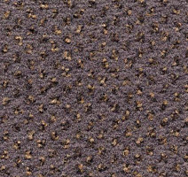 Ковролин Condor Carpets Argus 146 фото 1 | FLOORDEALER