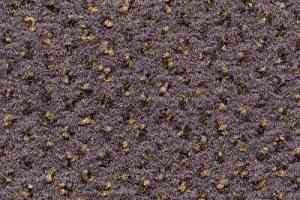 Ковролин Condor Carpets Argus 146 фото  | FLOORDEALER