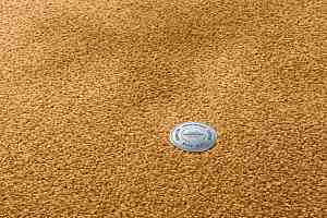 Ковролин Vorwerk Superior 1064/Lyrica Vorwerk 2f33 фото  | FLOORDEALER