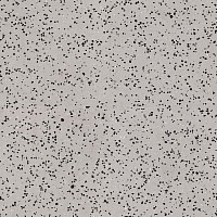 Линолеум Tarkett iq Era sc 800 фото 1 | FLOORDEALER