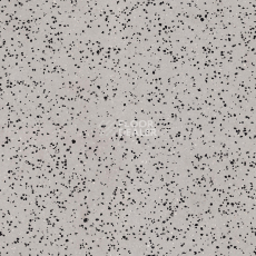 Линолеум Tarkett iq Era sc 800 фото 1 | FLOORDEALER