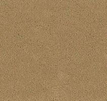 Ковролин Desso Asteranne 2045 фото 1 | FLOORDEALER