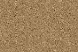 Ковролин Desso Asteranne 2045 фото  | FLOORDEALER