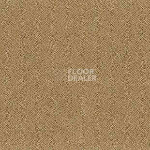 Ковролин Desso Asteranne 2045 фото 1 | FLOORDEALER