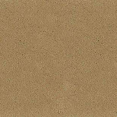 Desso Asteranne 2045 фото 1 | FLOORDEALER