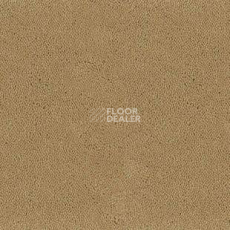 Ковролин Desso Asteranne 2045 фото 1 | FLOORDEALER