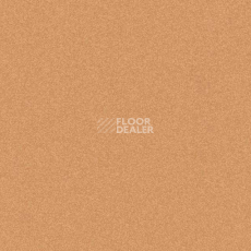 Линолеум Tarkett iq Melodia 2643 фото 1 | FLOORDEALER