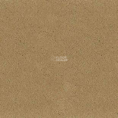 Desso Asteranne 2045 фото 1 | FLOORDEALER