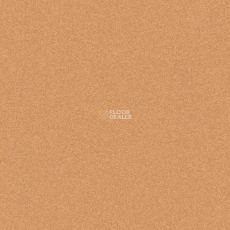 Tarkett iq Melodia 2643 фото 1 | FLOORDEALER