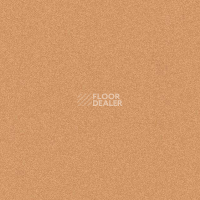 Линолеум Tarkett iq Melodia 2643 фото 1 | FLOORDEALER