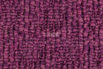 IVC Animate 467 фото 5 | FLOORDEALER