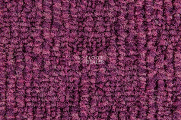 IVC Animate 467 фото 5 | FLOORDEALER