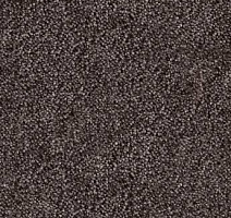 Ковролин AW Masquerade Messalina 44 фото 1 | FLOORDEALER