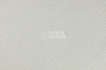 Ковролин Vorwerk Passion 1000/Modena Vorwerk 6b77 фото 1 | FLOORDEALER