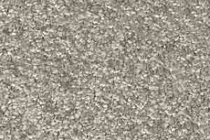 Ковровая плитка Bonkeel Spartacus 92 фото  | FLOORDEALER