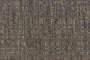 Ковролин Betula Betula 6335 80 фото  | FLOORDEALER