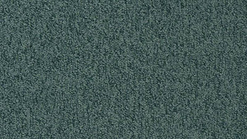 Ковролин Vorwerk Passion 1005 Vorwerk 4f69 фото 1 | FLOORDEALER