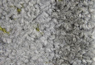 ColorKey ColorKey a 02 фото 2 | FLOORDEALER