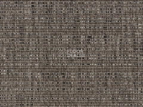 Ковролин Betula Betula 6335 80 фото 1 | FLOORDEALER