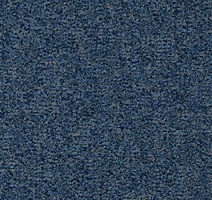 Ковролин Vorwerk Passion 1044 Vorwerk 3q53 фото 1 | FLOORDEALER