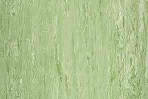 Линолеум Polyflor Xl Pu 3800 фото  | FLOORDEALER