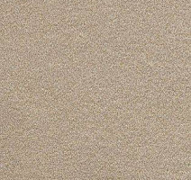 Ковролин AW Confidence 39 фото 1 | FLOORDEALER