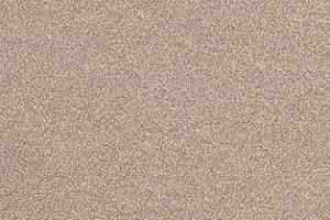 Ковролин AW Confidence 39 фото  | FLOORDEALER