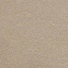 Ковролин AW Confidence 39 фото 1 | FLOORDEALER