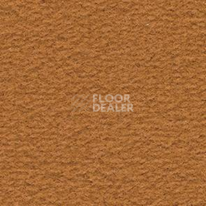 Ковролин Balsan Altitude Altitude 385 фото 1 | FLOORDEALER