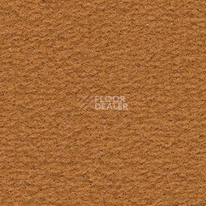 Ковролин Balsan Altitude Altitude 385 фото 1 | FLOORDEALER