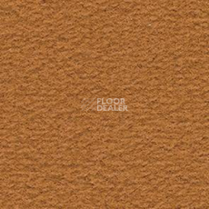 Ковролин Balsan Altitude Altitude 385 фото 1 | FLOORDEALER