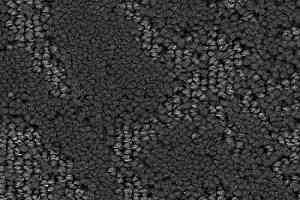 Ковролин Balsan Grand Hotel Cannes 960 фото  | FLOORDEALER