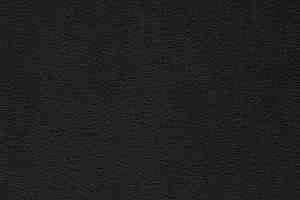 Ковролин Balta ITC President 98 фото  | FLOORDEALER