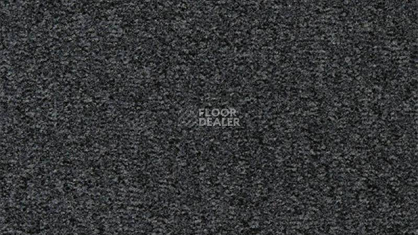 Ковролин Vorwerk Passion 1044 Vorwerk 5w33 фото 1 | FLOORDEALER