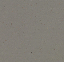 Линолеум Forbo Marmoleum Solid Cocoa 3589 nori фото 1 | FLOORDEALER