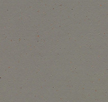 Линолеум Forbo Marmoleum Solid Cocoa 3589 nori фото 1 | FLOORDEALER