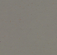 Линолеум Forbo Marmoleum Solid Cocoa 3589 nori фото 1 | FLOORDEALER