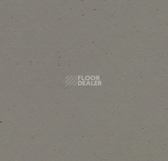 Линолеум Forbo Marmoleum Solid Cocoa 3589 nori фото 1 | FLOORDEALER