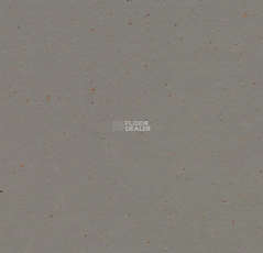 Forbo Marmoleum Solid Cocoa 3589 nori фото 1 | FLOORDEALER