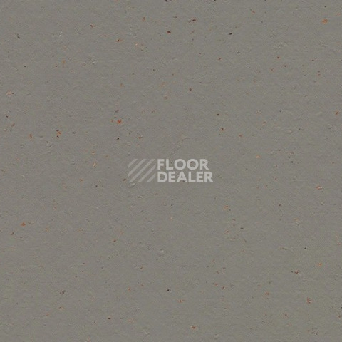 Линолеум Forbo Marmoleum Solid Cocoa 3589 nori фото 1 | FLOORDEALER