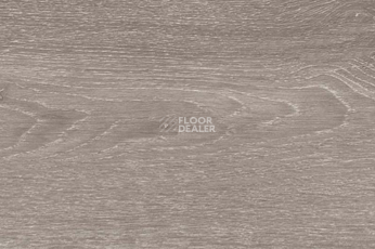 Wood Xl замковое Oak Steel фото 1 | FLOORDEALER