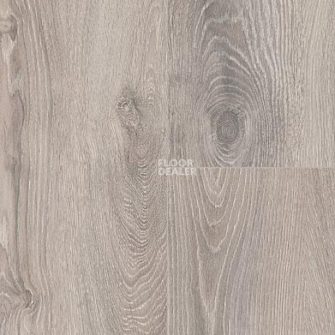 Wineo 700 Wood XXL V4 8мм LA222XXLV4 Дуб норвежский серебристый фото 3 | FLOORDEALER